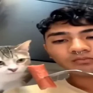 🐈