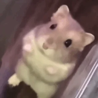😶
