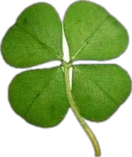 🍀