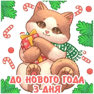 3⃣