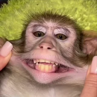 🌟