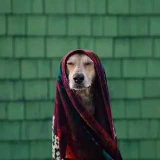 ☹️
