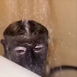 😎