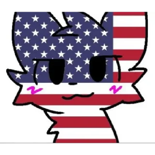 🇺🇸