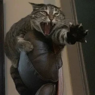 😰