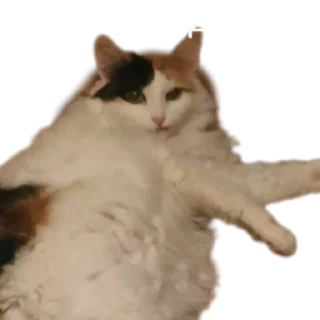 😎