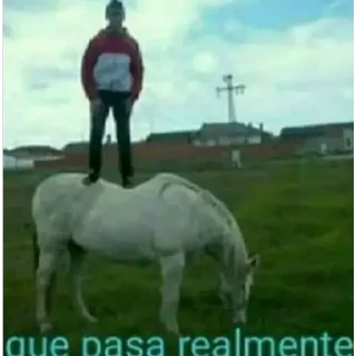 🐎