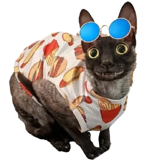 👓