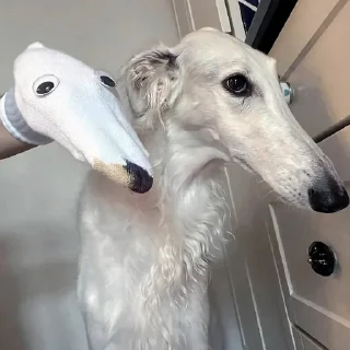 👀