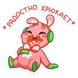 🐷