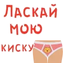 🐱