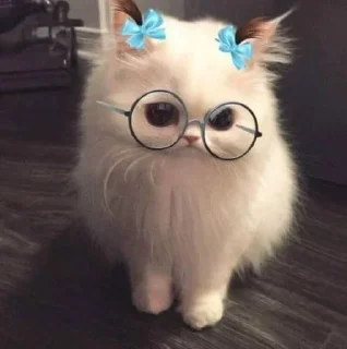 🤔