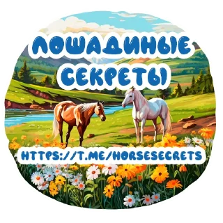 🐴