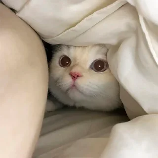 😐