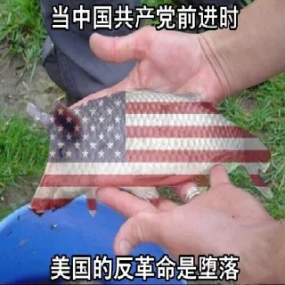 🇺🇸