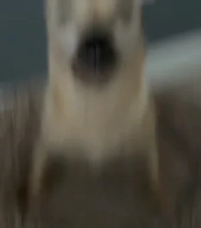 😐