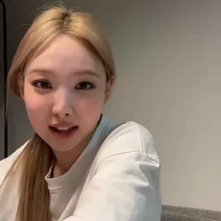 🐰