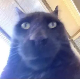 😐