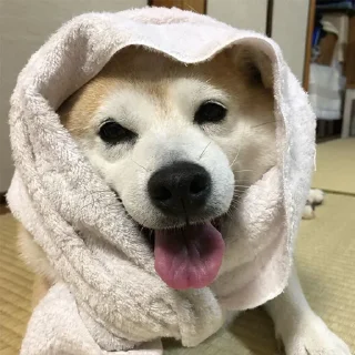 😛