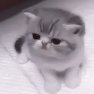 🥠