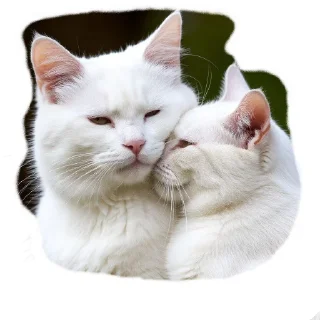 👨‍❤️‍💋‍👨