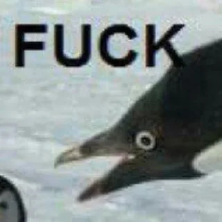 🐤