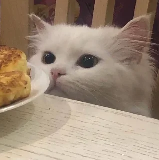 🥺