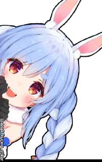 🐇