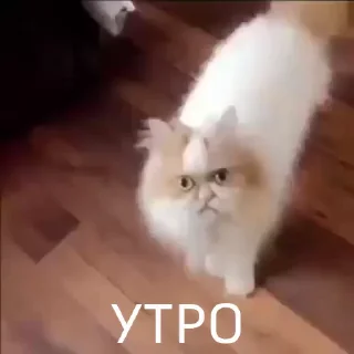 🥱
