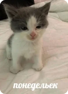😟