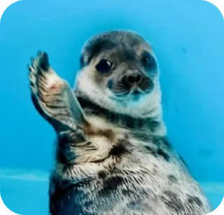 👋