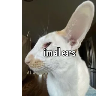 🤫