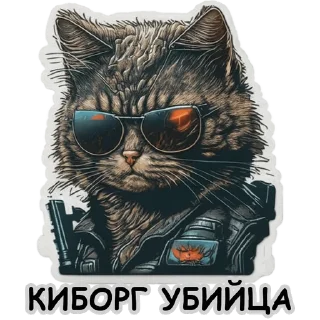 😎