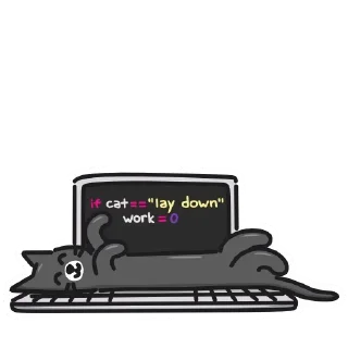 💻