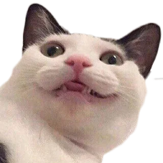 😃