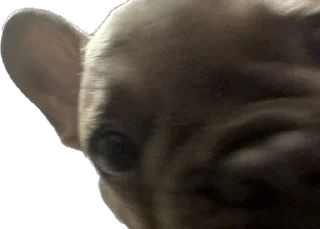 🫣