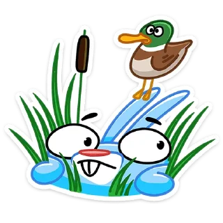 🦆