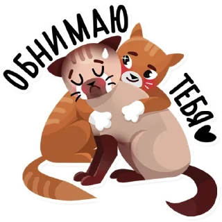 🐱