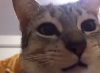 😏