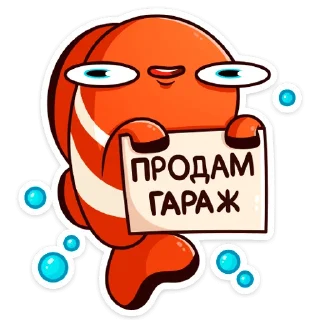 😼