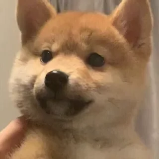 😐