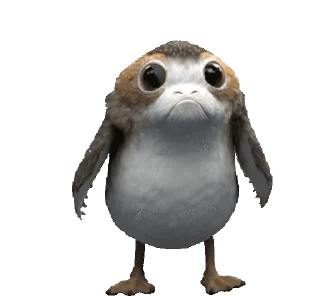 🐥