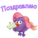 🌺