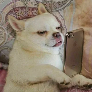 😜