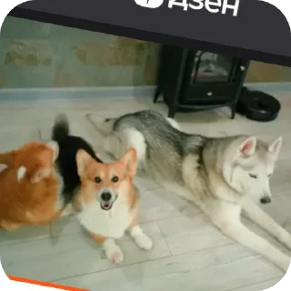 👍