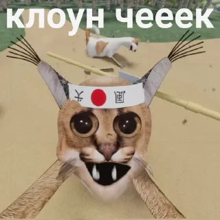 📦