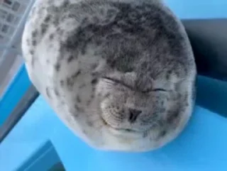 😜