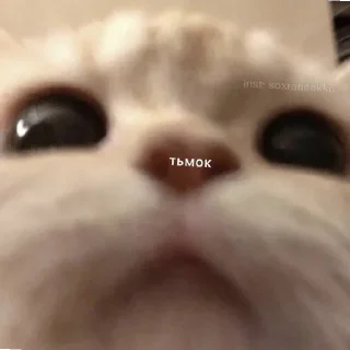 💋