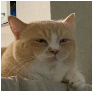 😑