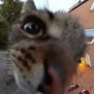 🧐